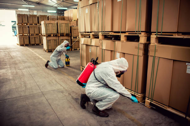 Best Affordable Pest Control Services  in Pierre, SD