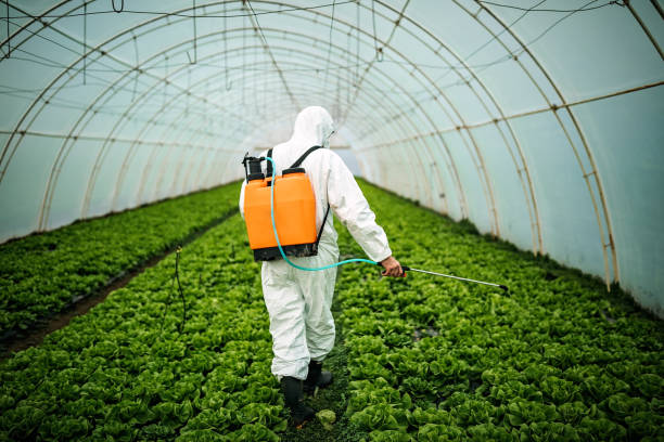 Best Pest Prevention Services  in Pierre, SD