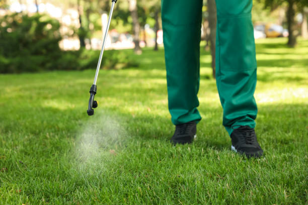 Best Pest Removal Services  in Pierre, SD