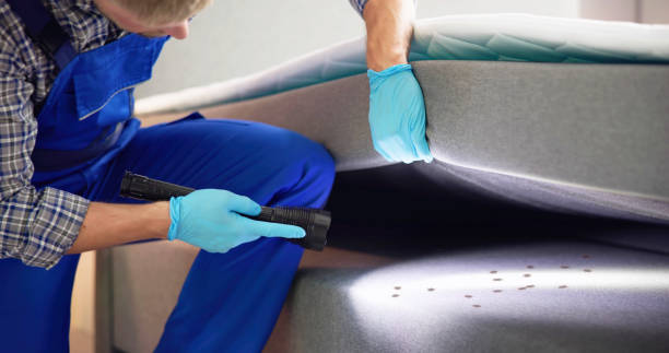 Best Local Pest Control Services  in Pierre, SD