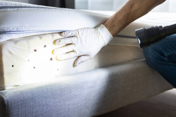 Best Affordable Pest Control Services  in Pierre, SD