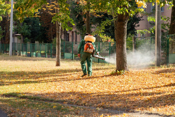 Best Flea Control Services  in Pierre, SD