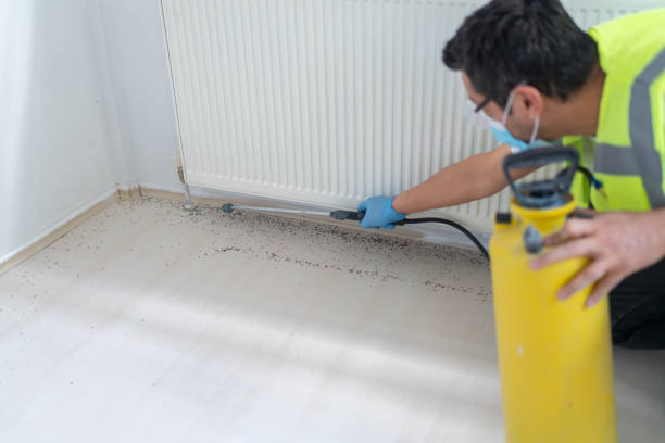 Best Best Pest Control Companies  in Pierre, SD