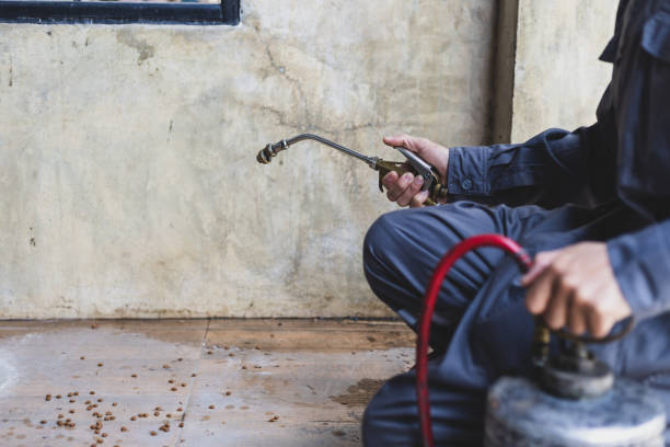 Best Pest Inspection Near Me  in Pierre, SD